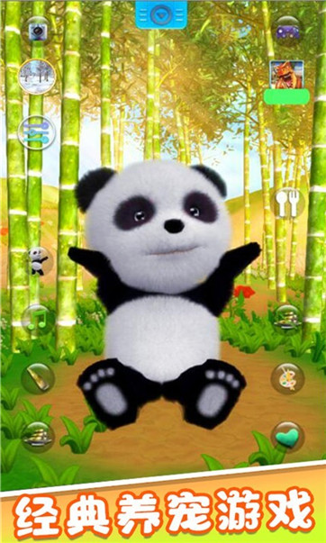 宠物熊猫模拟器-游戏截图4